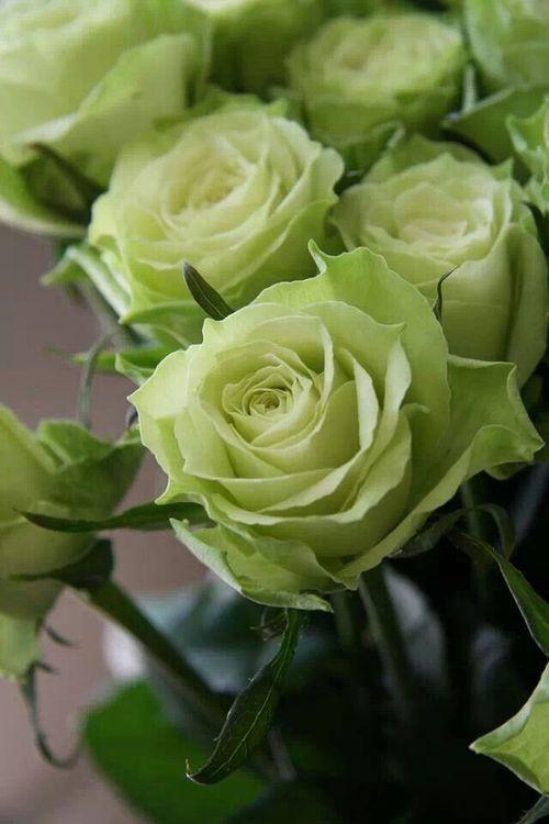 Serene Meadow's Embrace Bouquet