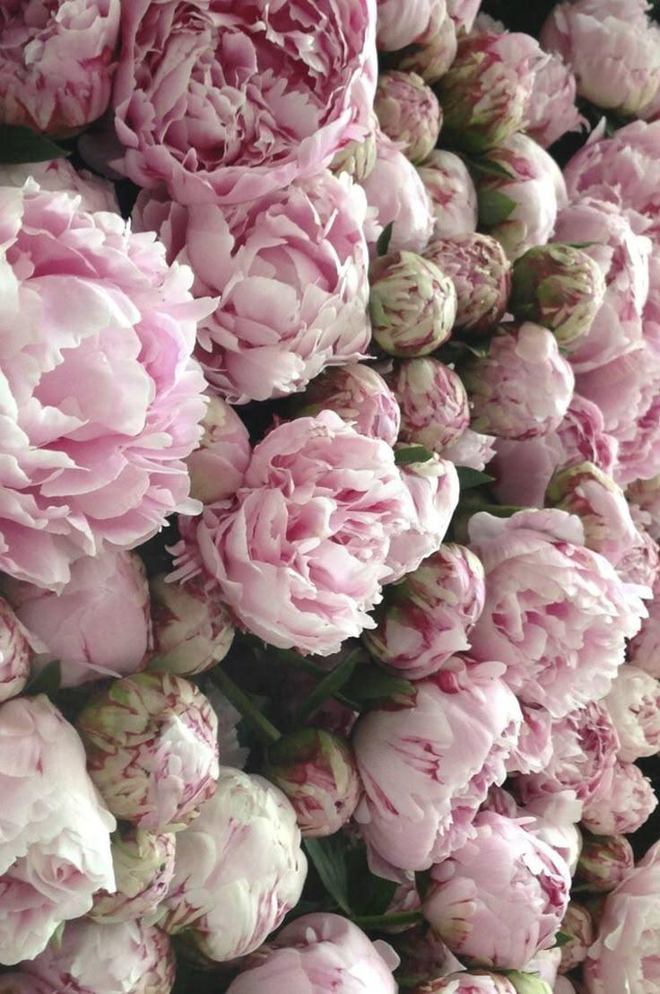 Whimsical Eden Dreamscape Posy